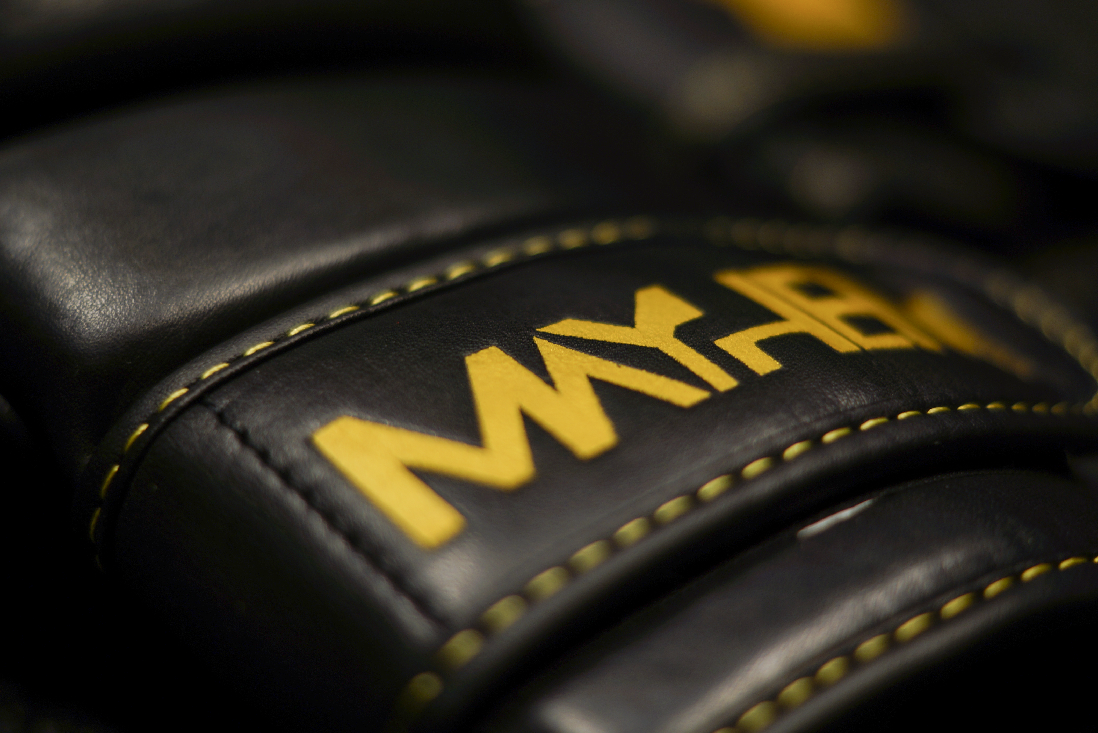 Gants de MMA de sparring