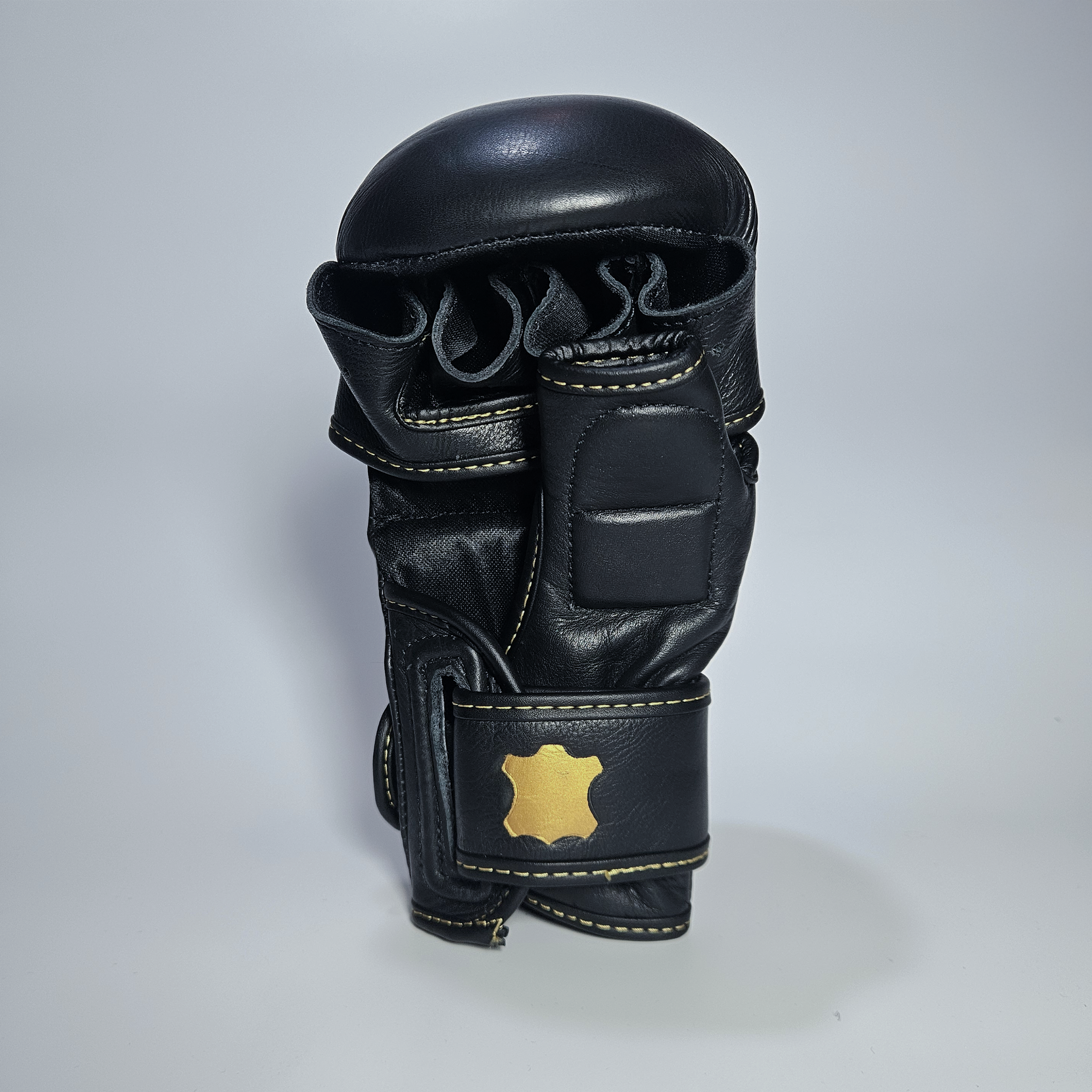 Gants de MMA de sparring