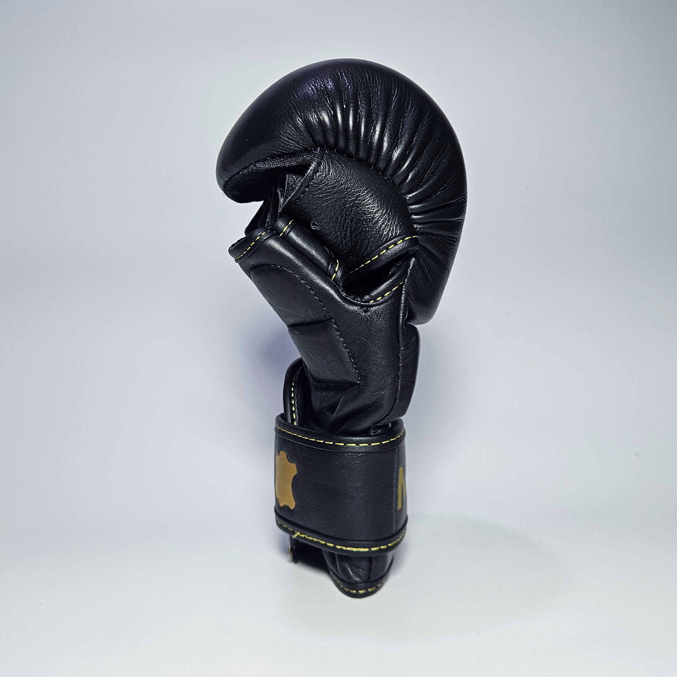 Gants de MMA de sparring