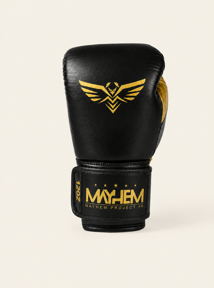 Gants de boxe Lightning