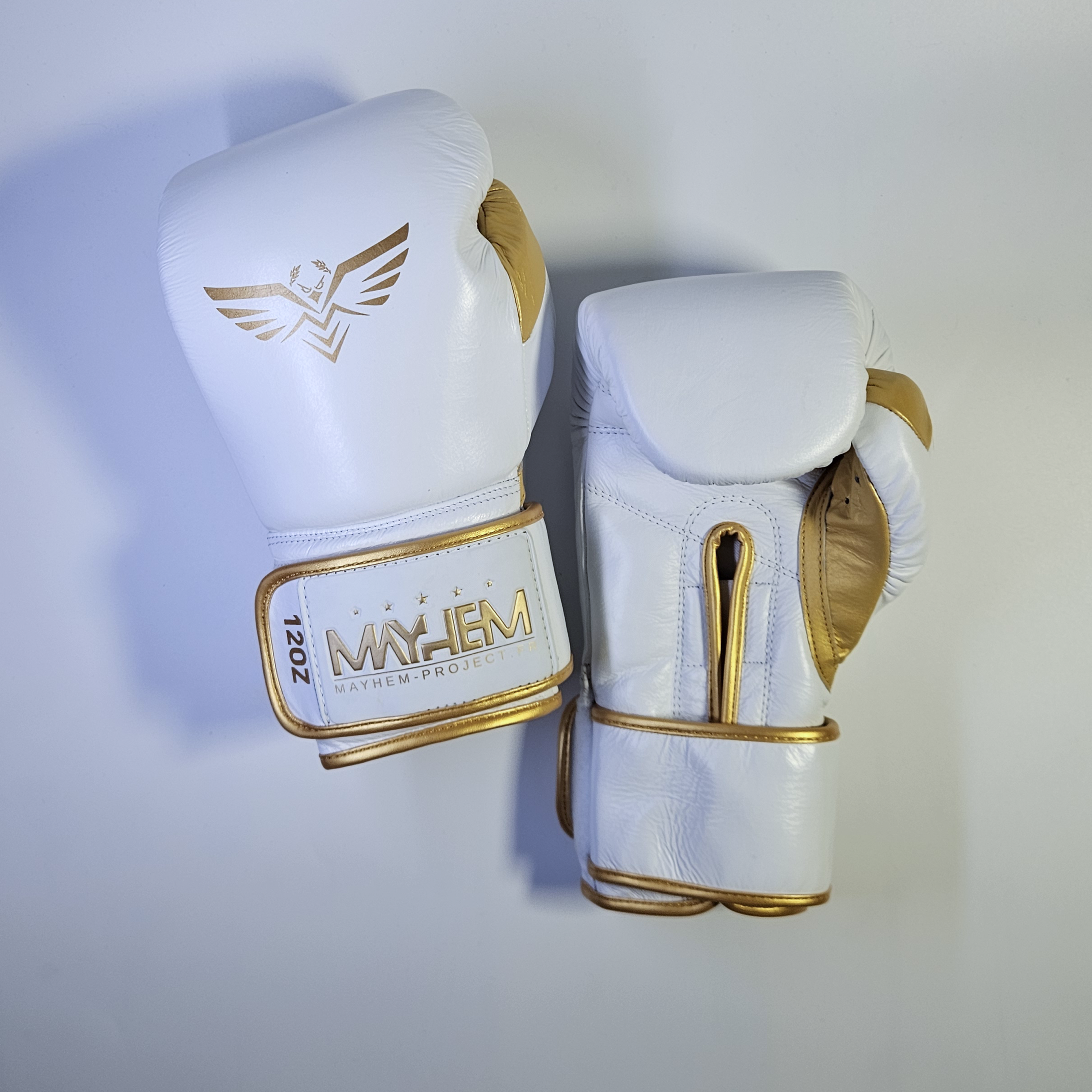 Gants de boxe : Mayhem Lightning⚡