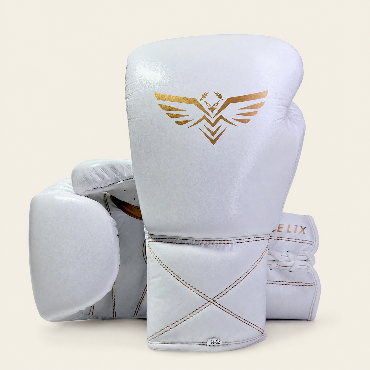 MMA contre le reste du monde