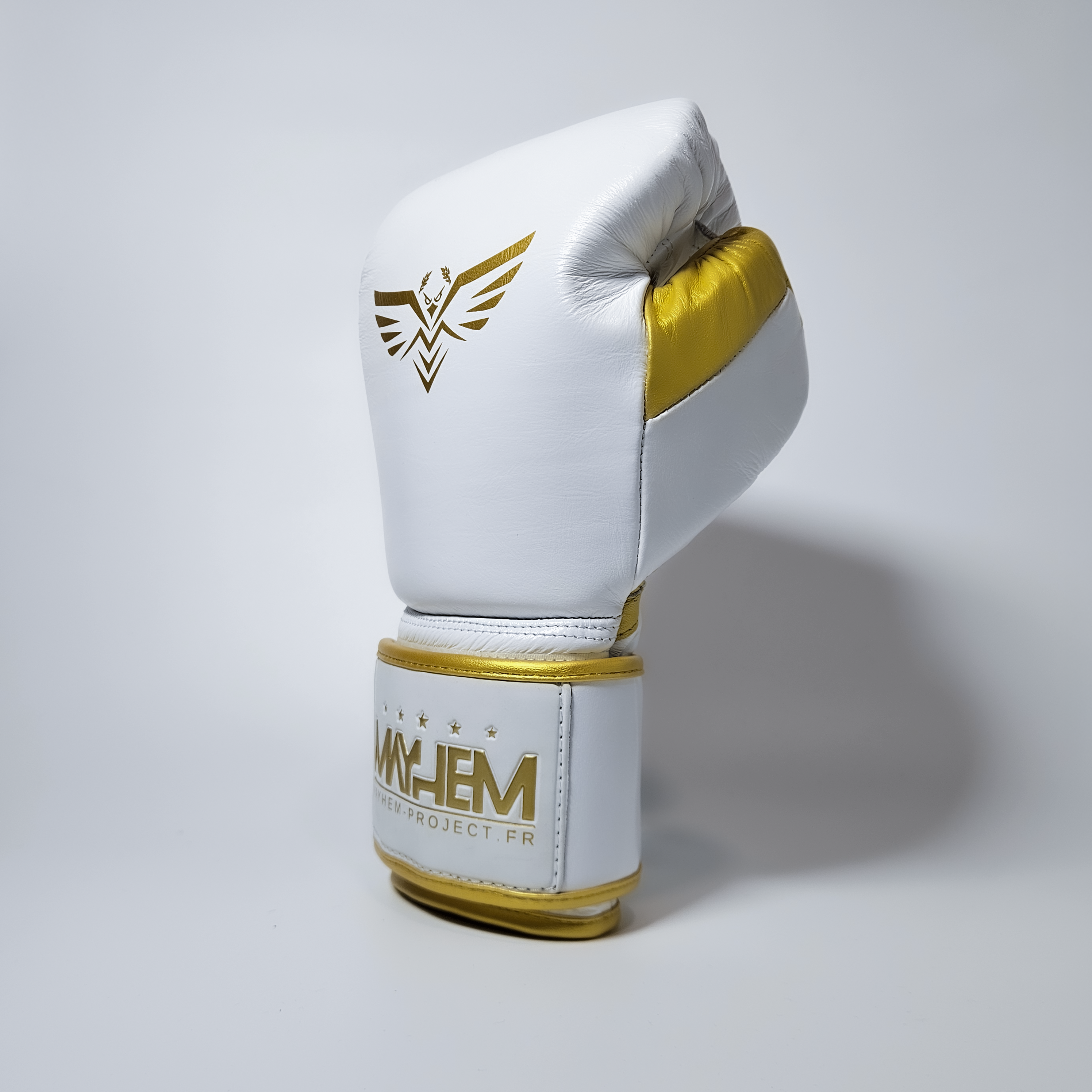 Gants de boxe : Mayhem Lightning⚡