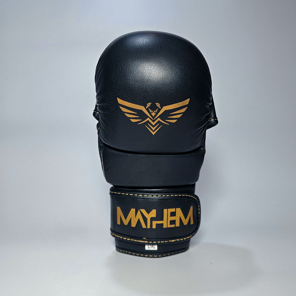 Meihem Project Mayhem Project
