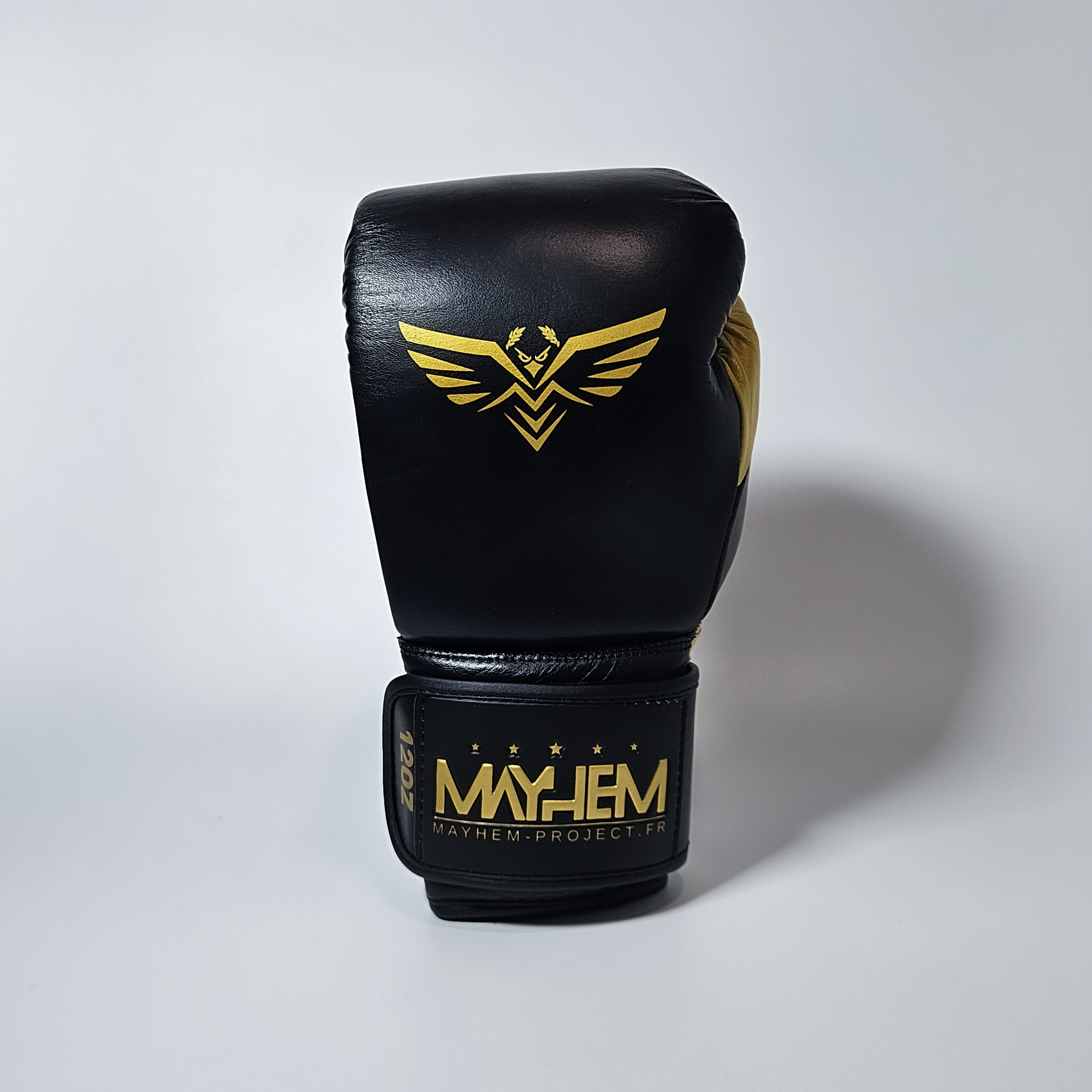 Gants de boxe : Mayhem Lightning⚡