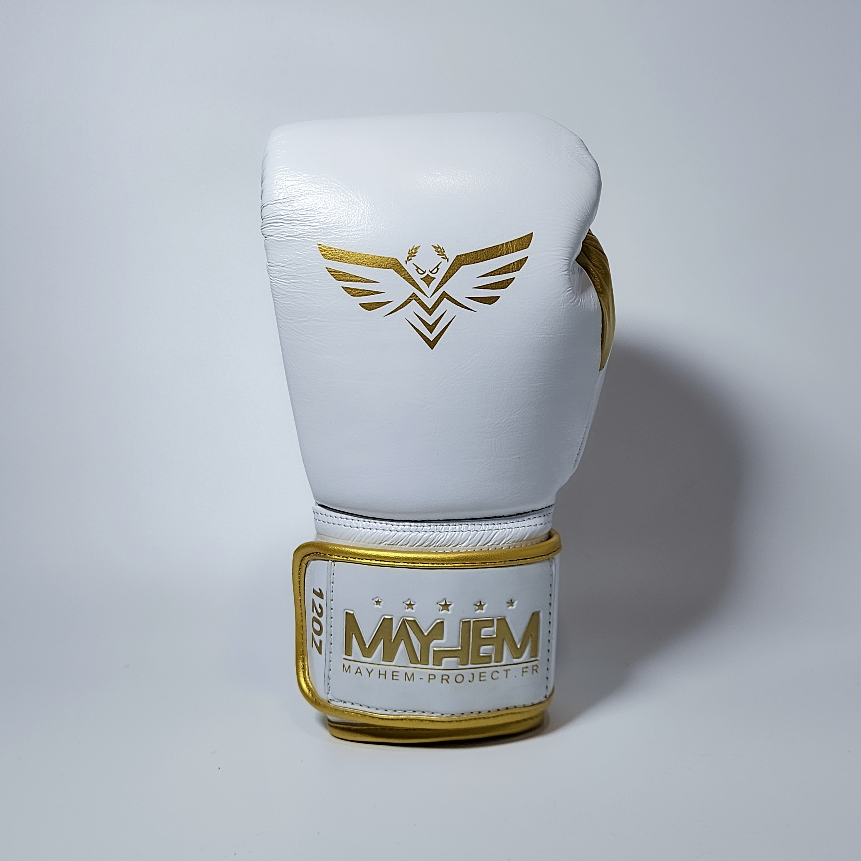 Gants de boxe : Mayhem Lightning⚡