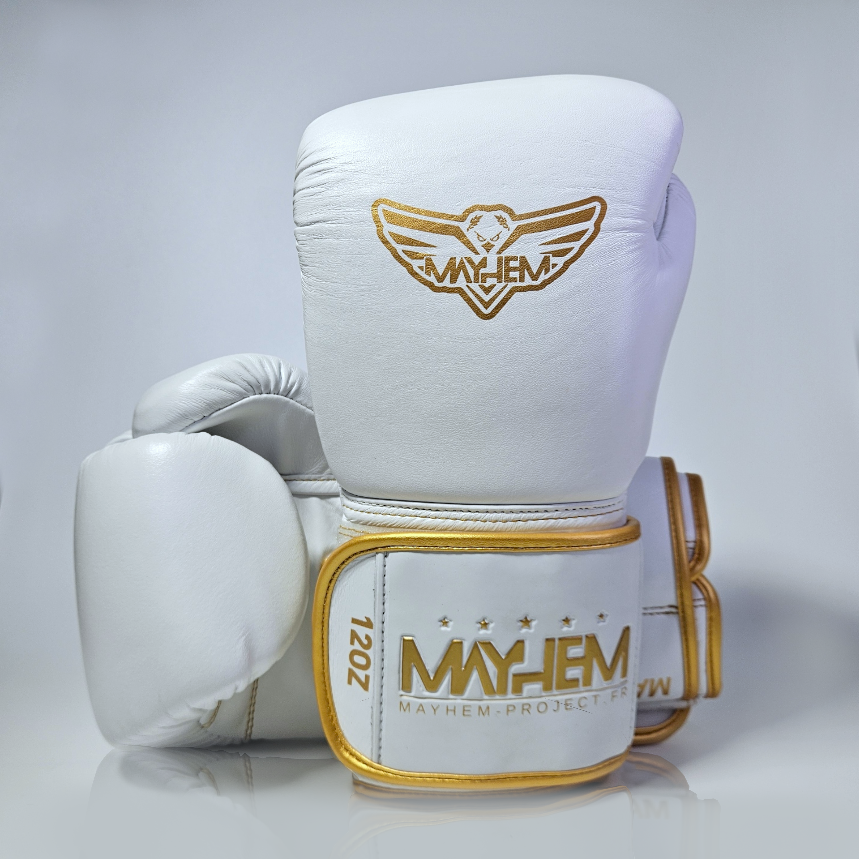 Gants de boxe : Mayhem L1X