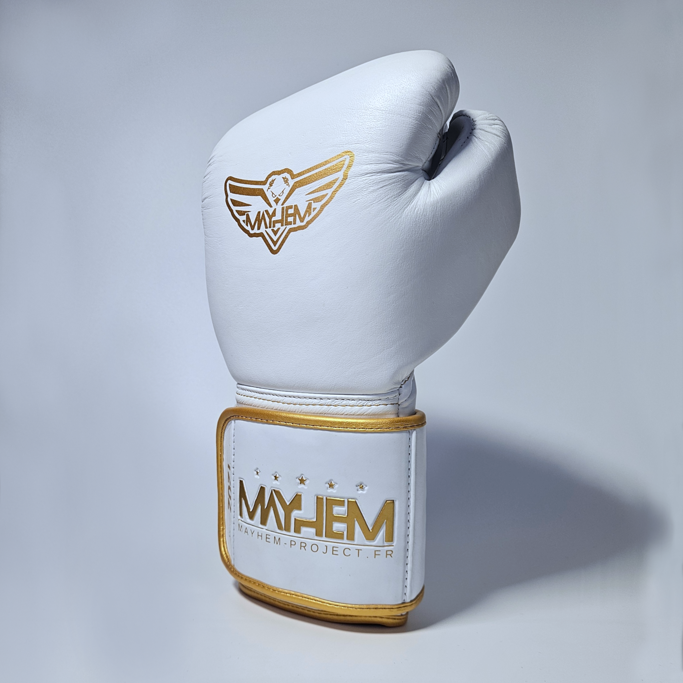 Gants de boxe : Mayhem L1X